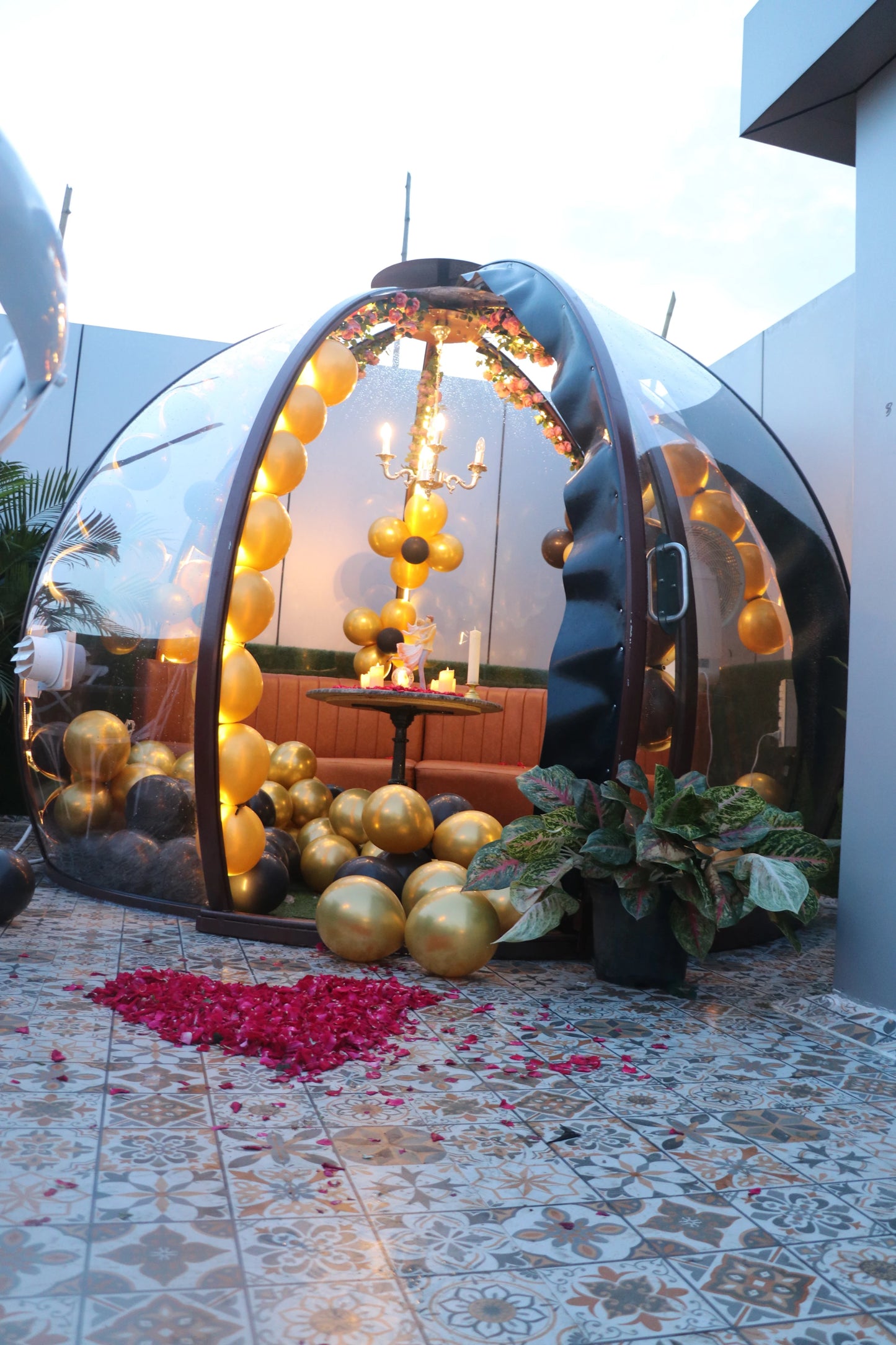 Aura - Dome