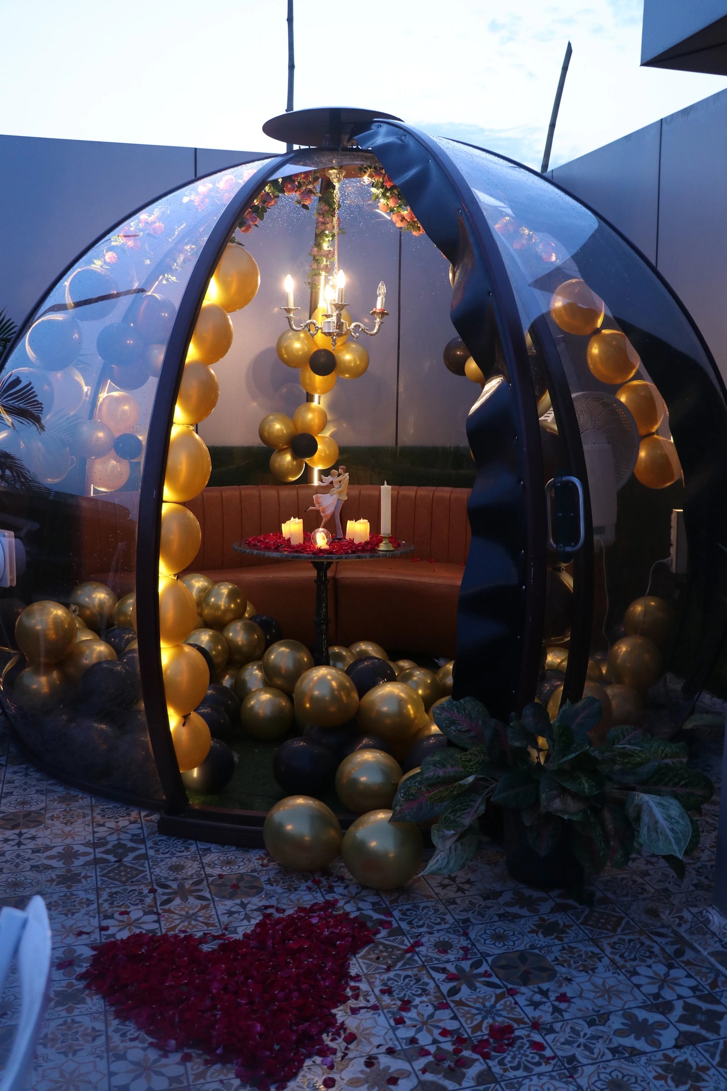 Aura - Dome